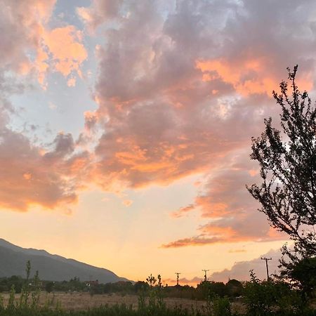 Οlives And Vines All Seasons Villa Літохоро Екстер'єр фото