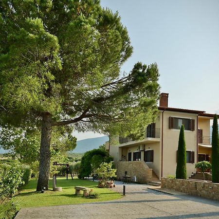 Οlives And Vines All Seasons Villa Літохоро Екстер'єр фото